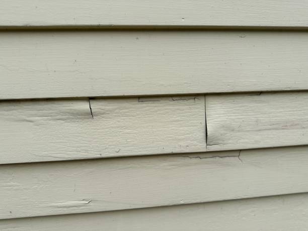 Best Steel Siding Installation  in Woods Creek, WA